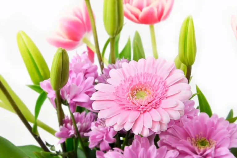 Best flower meanings for weekend planners