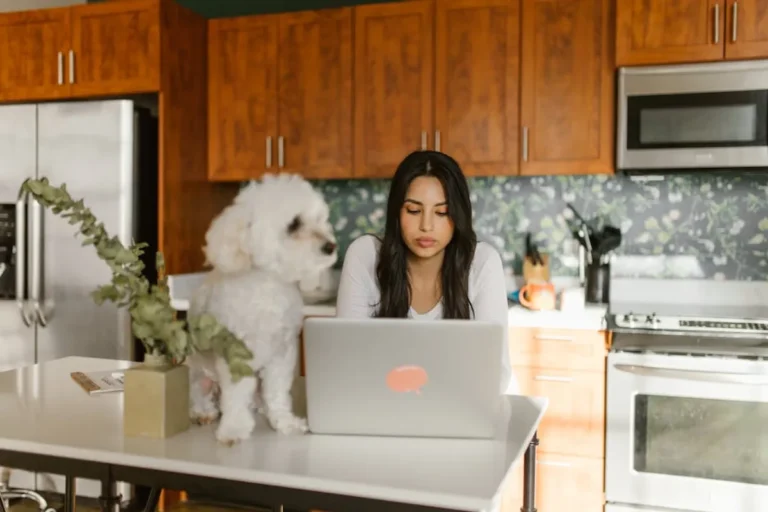 Best small apartment living for introverts