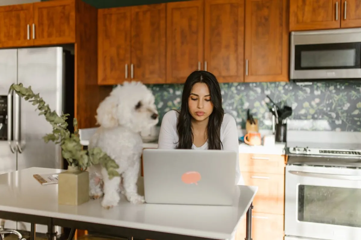 Best small apartment living for introverts