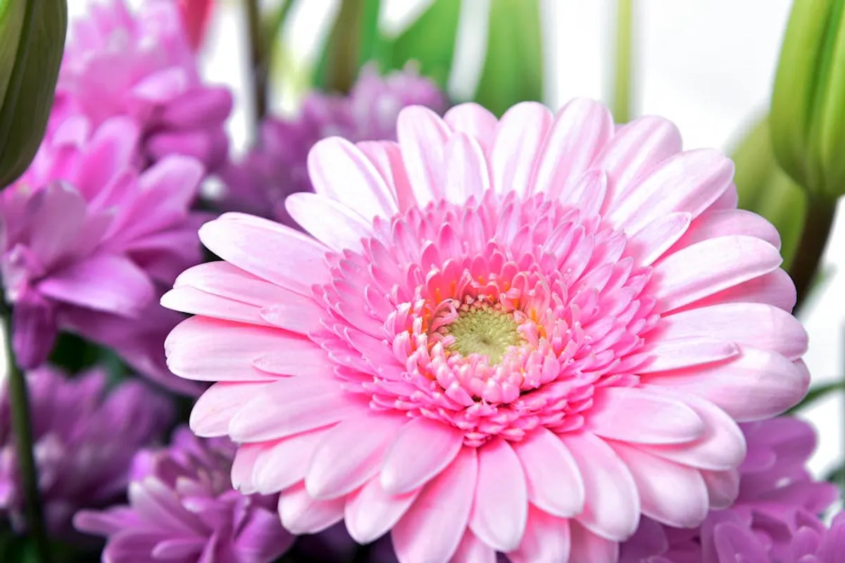 Flower Meanings Checklist for Families