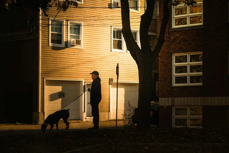 The Man Who Walks His Dog Past My Window at 7:42 Every Morning