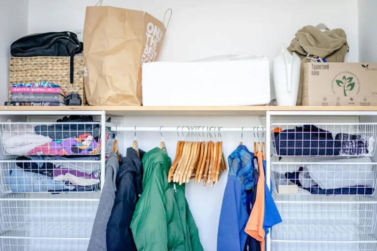 The Closet I Tried to Organize and Partially Succeeded At